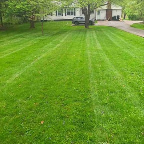 yard service by Terry and Family Management LLC reviewed on August 17, 2025