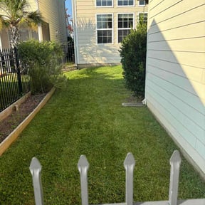 yard care by Green planet reviewed on August 15, 2025