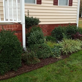 Flower Bed Weeding by Ken's Lawncare reviewed on August 19, 2025