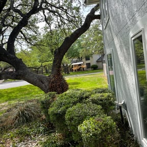 Bush Trimming by Silva lawn care reviewed on August 17, 2025