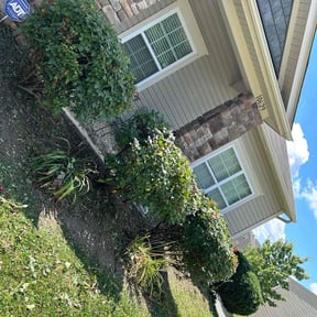 Bush Trimming by JR and Sons Lawn Service reviewed on August 18, 2025