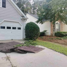 Bush Trimming by Eddie Dancy reviewed on November 10, 2025