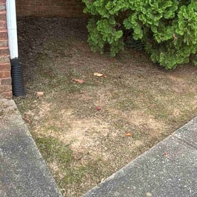 Flower Bed Weeding by Best of the best lawn and landscape design reviewed on October 24, 2025