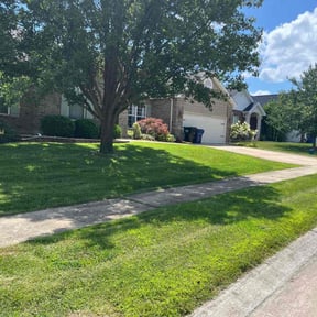 lawn care by 3GUYSLAWNCARE reviewed on August 19, 2025