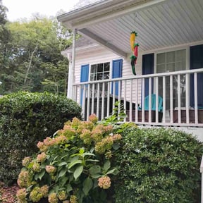 Bush Trimming by Big Mac&#039;s Lawn Service LLC reviewed on October 20, 2025