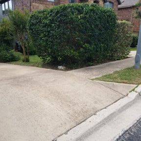 Bush Trimming by Marquez landscape reviewed on August 18, 2025