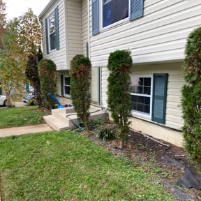 Bush Trimming by Dreamscapes Unlimited LLC reviewed on August 16, 2025