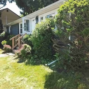 Bush Trimming by Fine Line Landscaping reviewed on August 18, 2025