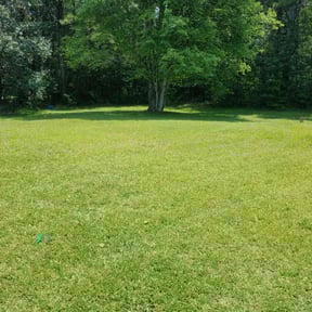 yard work by Adams Lawns &amp; More reviewed on November 23, 2025