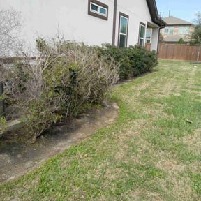 Flower Bed Weeding by Fiechtner Landscape Services reviewed on August 19, 2025