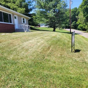 turf care by Mola Property and Lawn Service reviewed on May 12, 2024