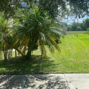 yard service by WA transport &amp; towing LLC reviewed on August 7, 2024