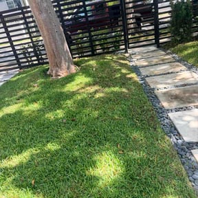 Leaf Removal by Manuel landscaping reviewed on June 15, 2026