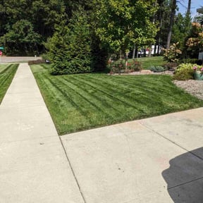 gardening service by AMERICA'S BEST LAWN SERVICE LLC reviewed on August 21, 2025