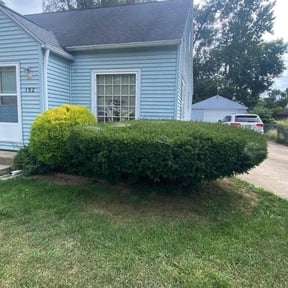 Bush Trimming by Rodriguez Lawn Care LLC reviewed on October 23, 2025