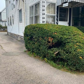 Bush Trimming by Countryside lawn and garden reviewed on November 24, 2025