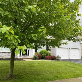 residential landscaping by Just us landscaping LLC reviewed on August 16, 2025