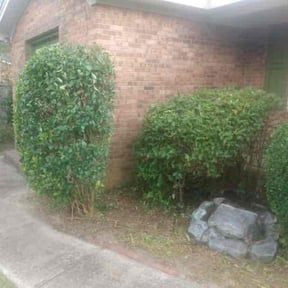 Bush Trimming by Total Lawns reviewed on August 17, 2025