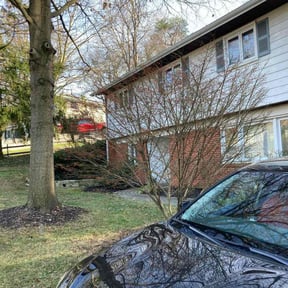 Leaf Removal by Perea Landscaping and Construction reviewed on November 29, 2025