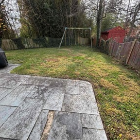 Leaf Removal by Thomas wayne enterprises, llc reviewed on November 23, 2025