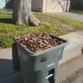 Leaf Removal by McLean Services reviewed on September 17, 2025