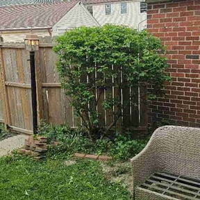 Bush Trimming by Tolene Lawncare llc reviewed on May 21, 2026