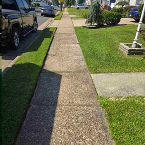 yard maintenance by pnp concrete reviewed on August 17, 2025
