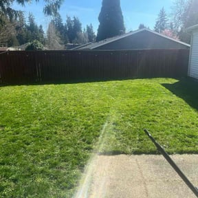 lawn care by Lawn Cutting reviewed on August 12, 2024