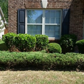 Bush Trimming by Sammy&#039;s Lawn Care reviewed on May 11, 2024