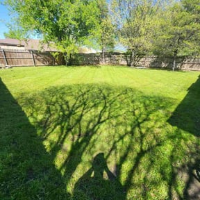 landscaping services by Sunshine Quality Cuts reviewed on August 15, 2025