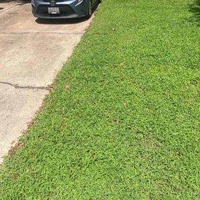 yard service by Texas Trills Lawn Service reviewed on August 18, 2025