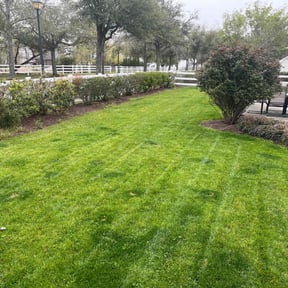 residential landscaping by Babcock Enterprises LLC reviewed on August 2, 2022