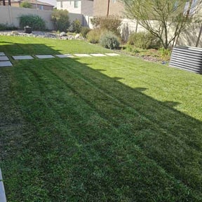 landscaping by Teals Turf Renovations reviewed on August 17, 2025