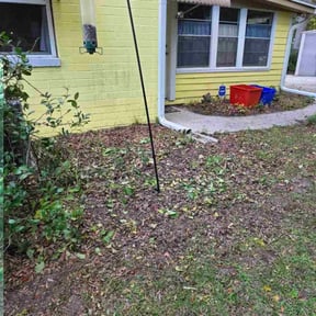 Bush Trimming by Razi Lawn Care reviewed on November 24, 2025