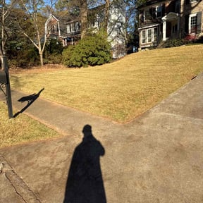 Leaf Removal by L&amp;S Lawnservice reviewed on November 21, 2025