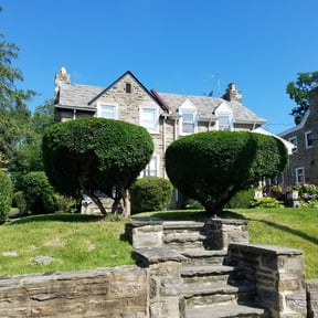 Bush Trimming by Brothers landscaping reviewed on August 21, 2025