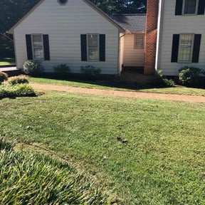 Bush Trimming by Jett Lawn Service reviewed on August 20, 2025