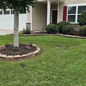 yard work by Made 4 it all reviewed on August 16, 2025