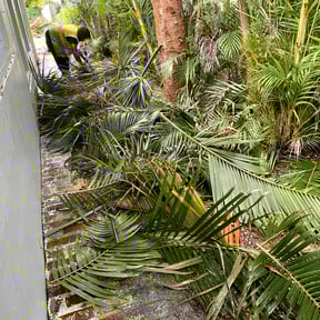 Leaf Removal by Lawn guru bro&#039;s reviewed on September 20, 2025