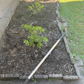 Flower Bed Weeding by Crispy Cuts Lawn Care reviewed on October 24, 2025