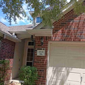 Bush Trimming by Coliman Landscaping Co. reviewed on June 20, 2026
