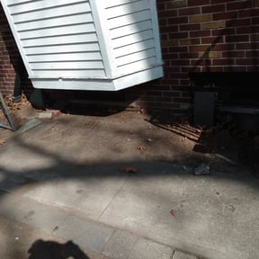 Leaf Removal by Gina's Lawn Service reviewed on August 21, 2025