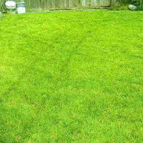 landscaping services by Diversified Lawn Care LLC reviewed on August 18, 2025