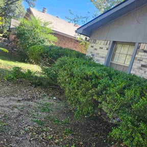 Bush Trimming by Clouse Landscaping reviewed on November 19, 2025