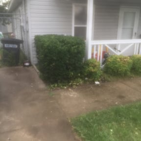 Bush Trimming by Elite Landscaping reviewed on August 17, 2025