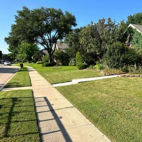yard maintenance by TOMS - Total Outdoor Maintenance reviewed on August 19, 2025