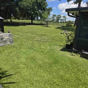 yard service by Davino Handy Services reviewed on August 19, 2025
