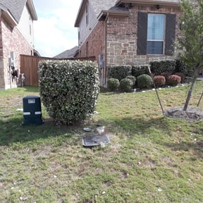 Bush Trimming by Anton Lawn Care reviewed on August 20, 2025