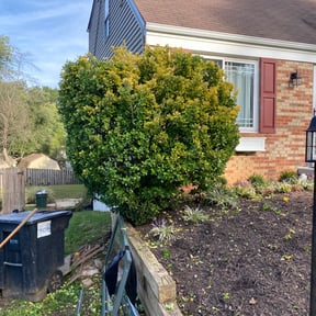 Bush Trimming by Alternative Lawn Care reviewed on August 20, 2025