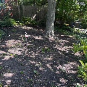 Flower Bed Weeding by MWC Grounds Management reviewed on July 8, 2026